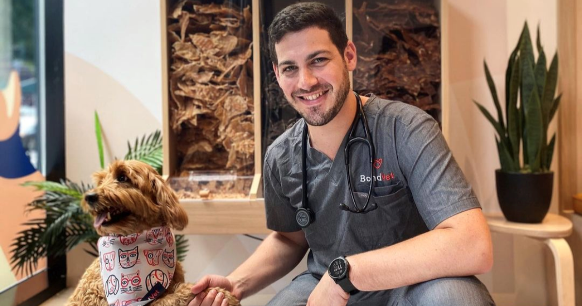 Vet Show Spotlight on Dr. Jeremy Kimmelstiel